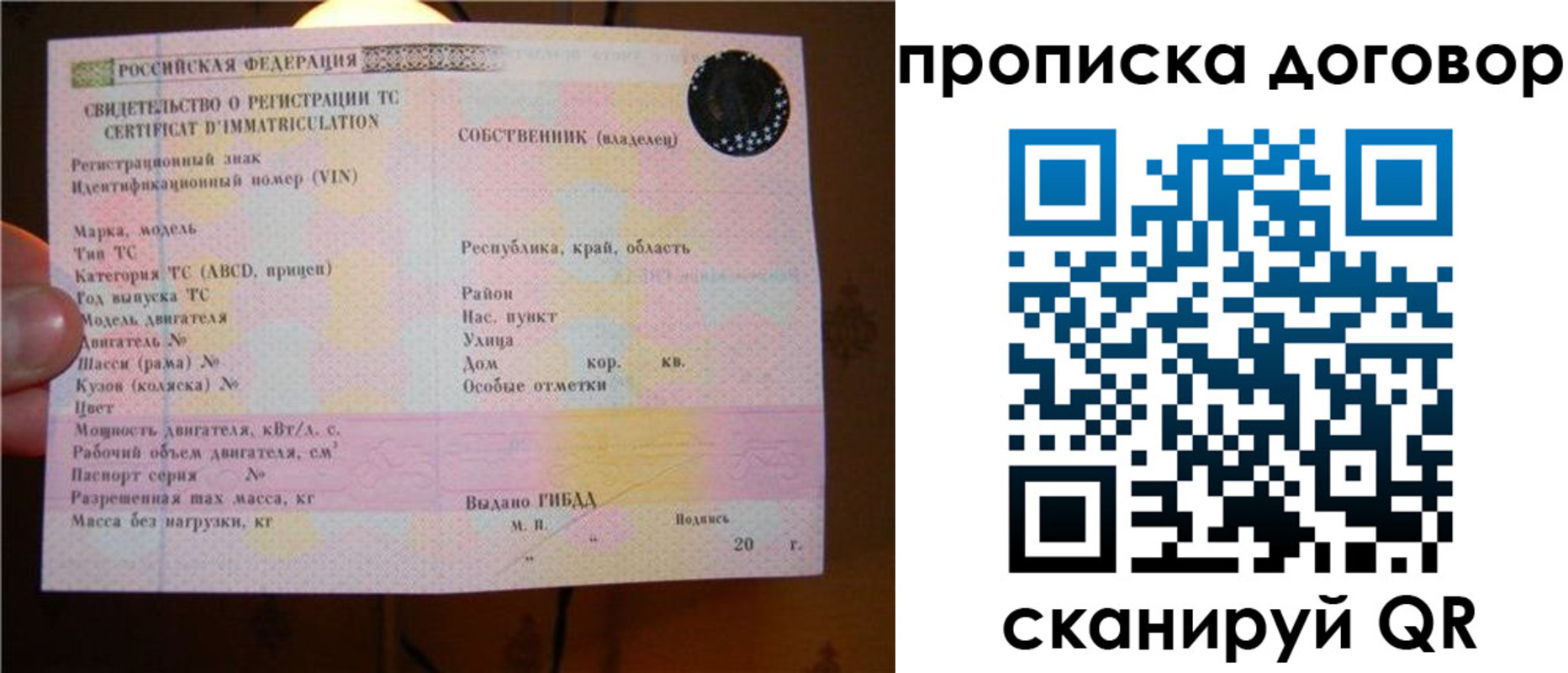 временная регистрация поиск в Псковской области